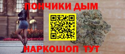 2c-b Камышлов