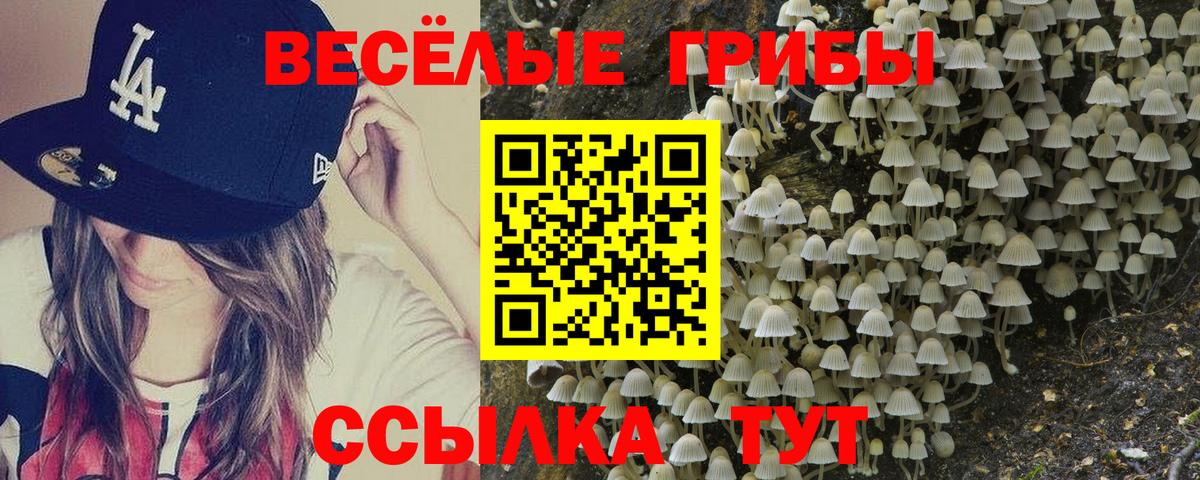 Псилоцибиновые грибы мухоморы Аксай