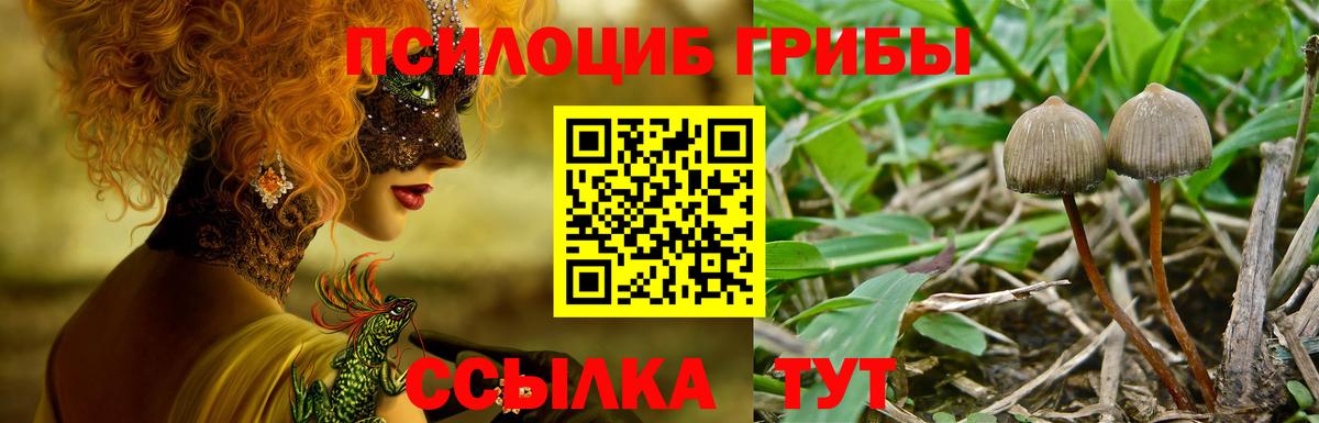 Аксай  закладки  Вход с VPN  Галлюциногенные грибы ЛСД 
